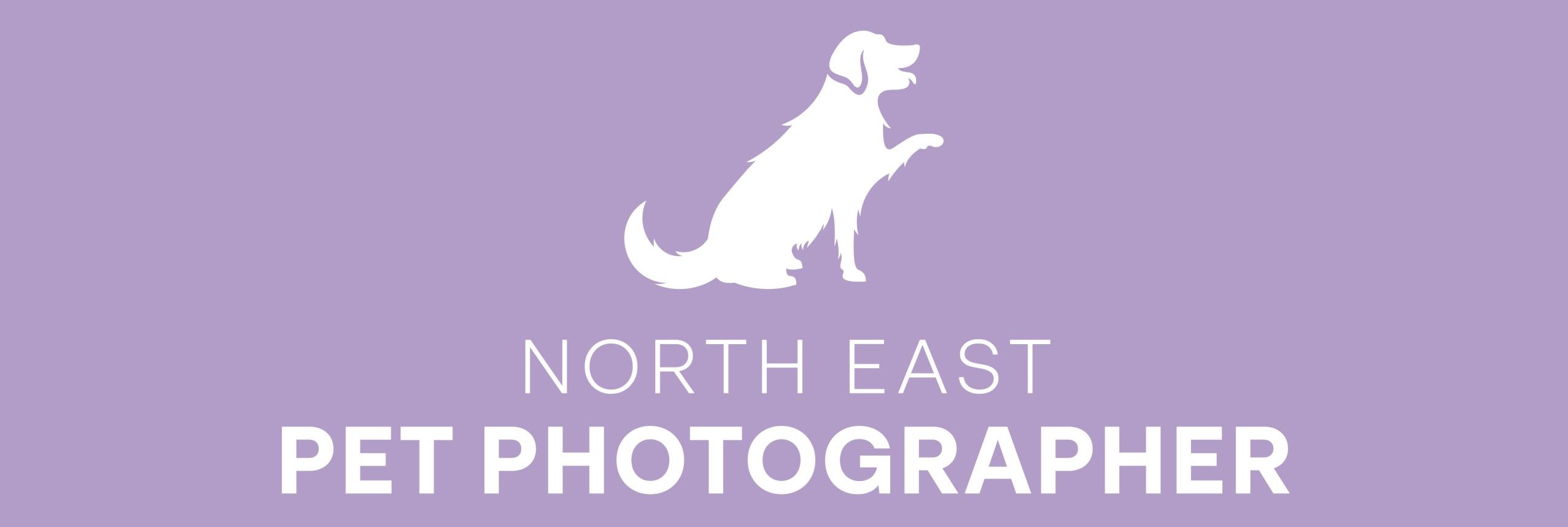 North East Pet Photographer