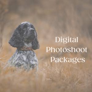 Digital Packages