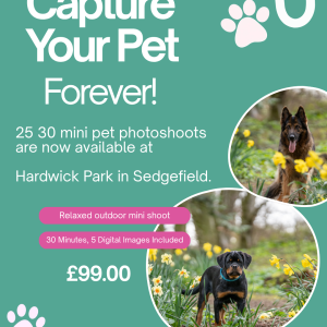 Mini Pet Photoshoot Sessions at Hardwick Park, Sedgefield