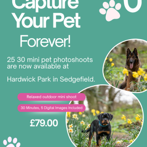 Mini Pet Photoshoot Sessions at Hardwick Park, Sedgefield